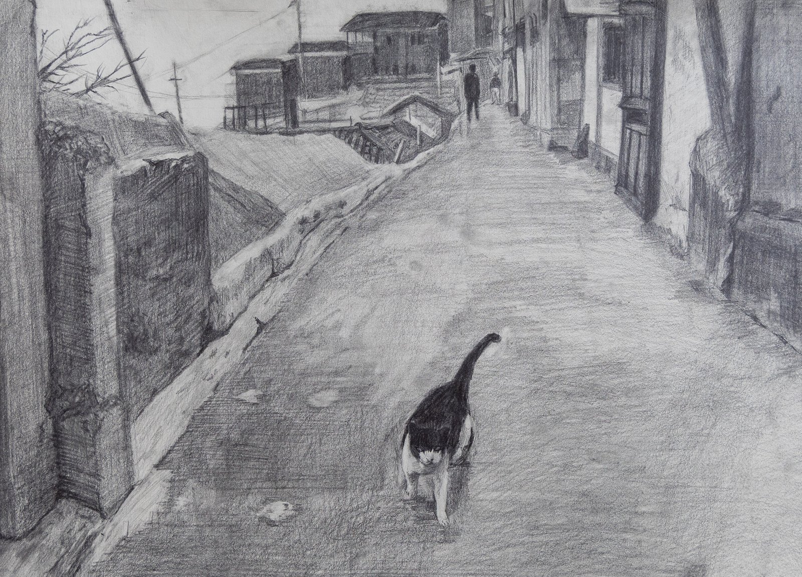 Untitled — graphite drawing of a cat on a sloped street